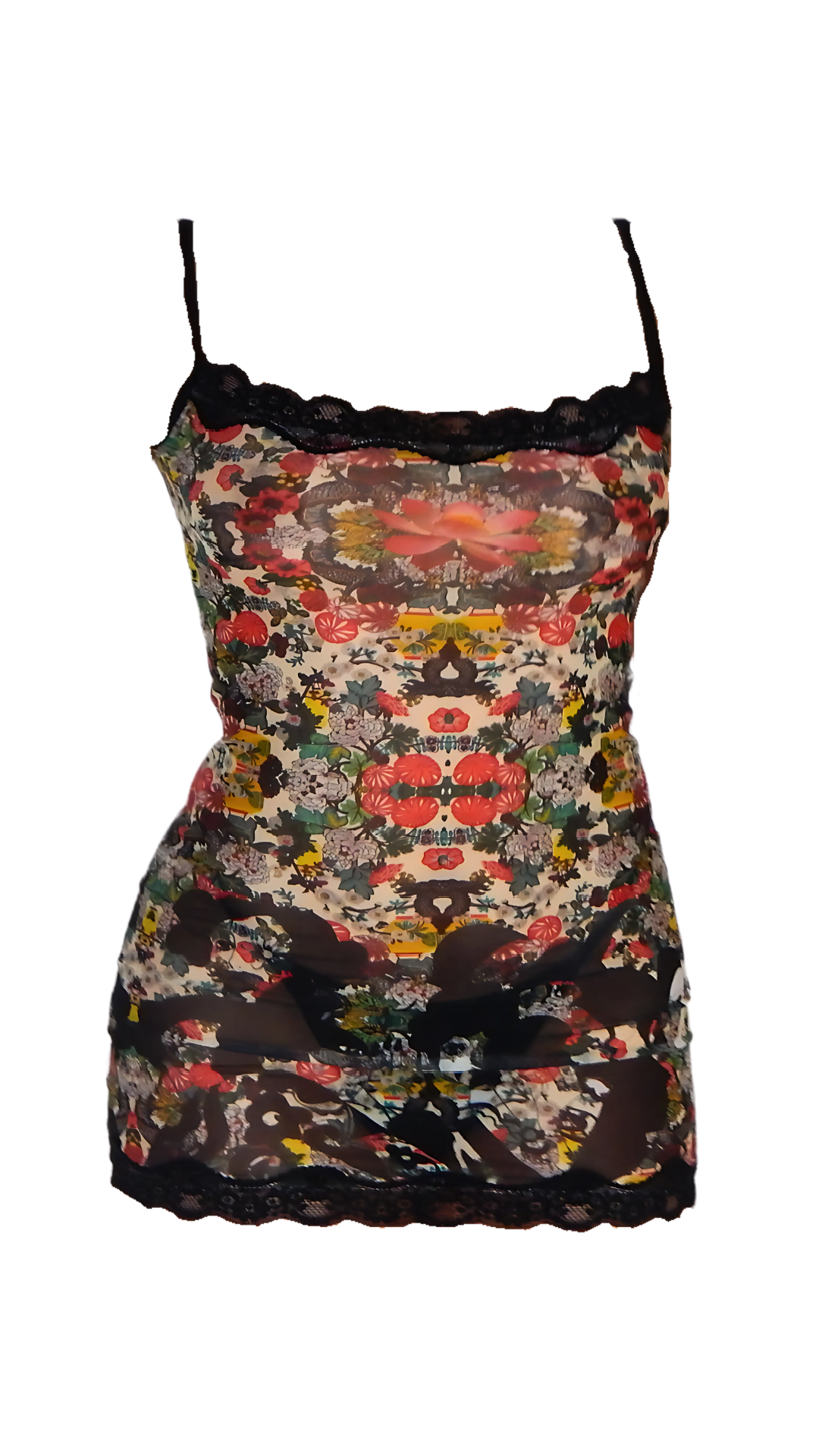 LOLA MINI 𝜗𝜚